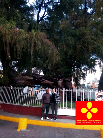 Xochimilco trajinera