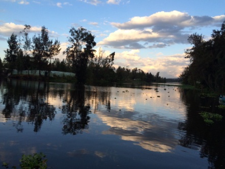 Xochimilco trajinera