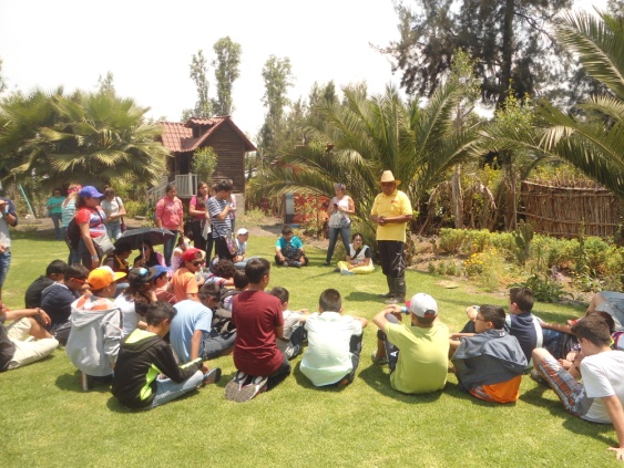 Xochimilco trajinera