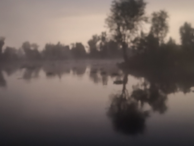 Xochimilco trajinera