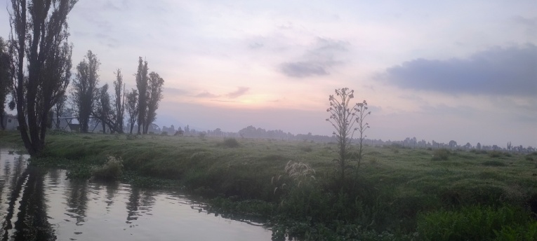 Xochimilco trajinera