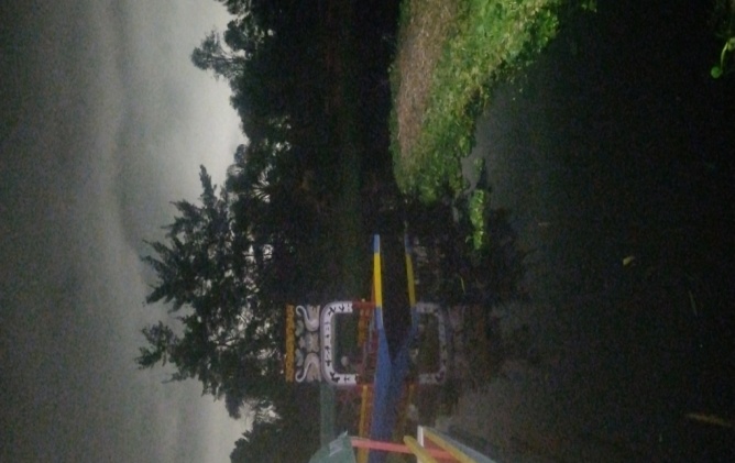 Xochimilco trajinera